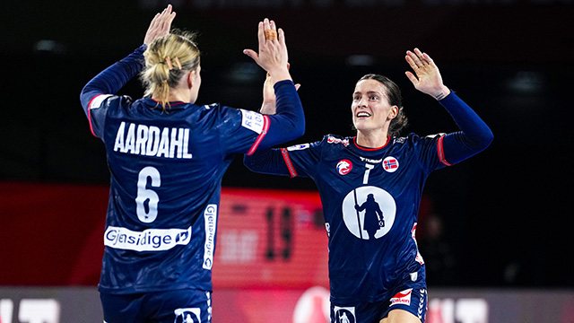 20241205 Norge Danmark Skogrand.jpg