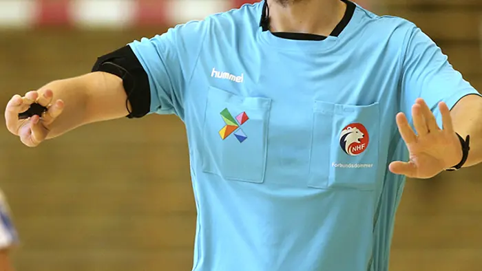 20210812 Dommer illustrasjon hummel Foto Svein André Svendsen.jpg