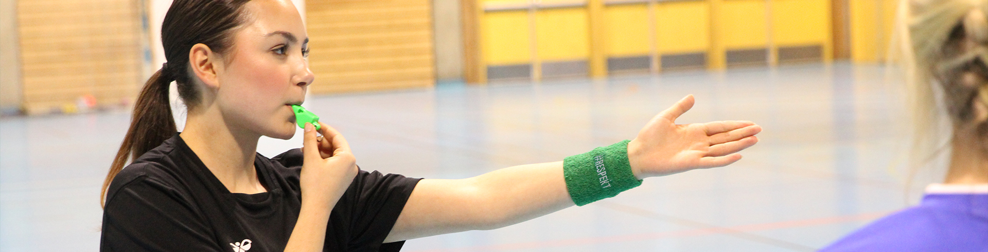 2024 Gr&oslash;nn_floyte_Illustrasjonsbilde.jpg