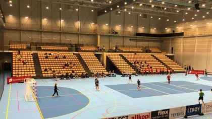 Øvrig internasjonal aktivitet