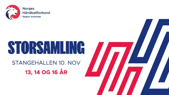 storsamling 2024.jpg