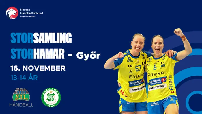 storsamling stangehallen.jpg