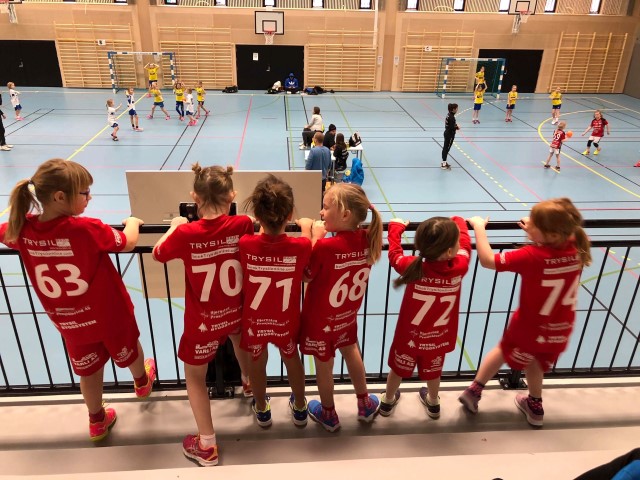 Tribunegjeng Isbj&oslash;rnserie.JPG