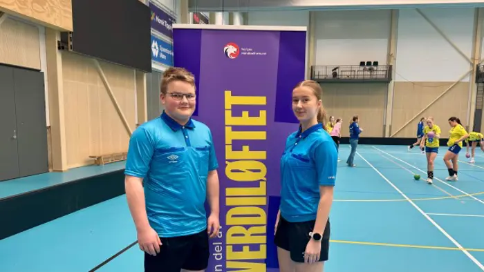 Aune/Rønsberg (Selbu)