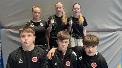 Neste gang du ser en dommer med grønn fløyte