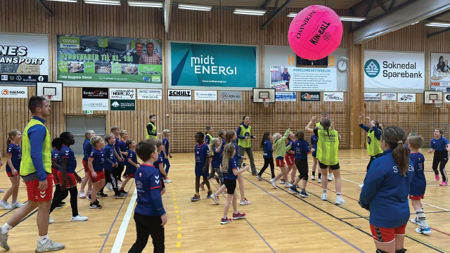 REMA 100 H&aring;ndballskole St&oslash;ren.png