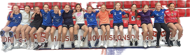 Temaserien_J12_N1_Vålerenga blå.jpg