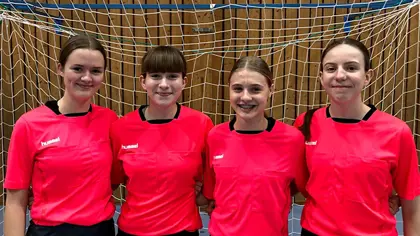 Vil gjerne dømme i Temaserien igjen