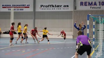 Spørreundersøkelse om dommertilværelsen