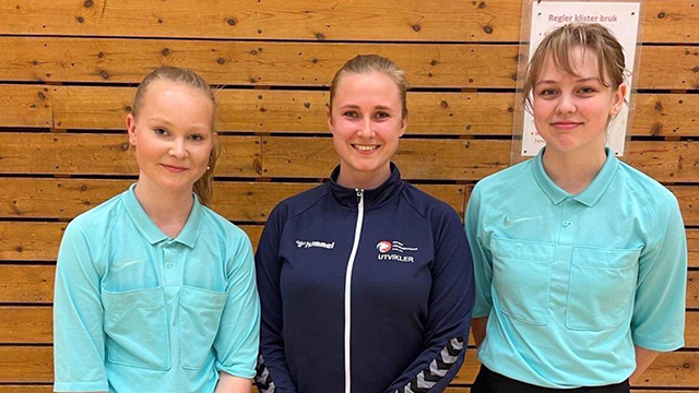 Dommere_ Eriksen_Miljeteif-Fjeld.jpg