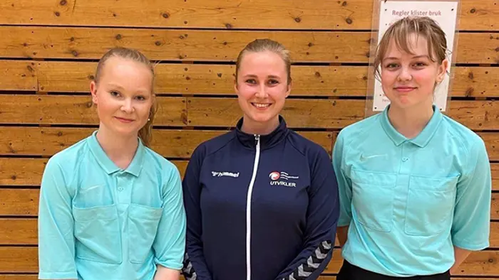 Dommere_ Eriksen_Miljeteif-Fjeld.jpg