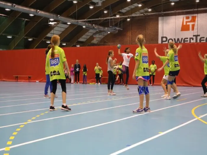Skole håndball.JPG