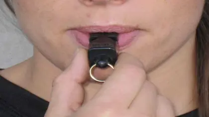 Fullført Dommer 3 utdanning