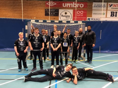 Viking superlag.jpeg