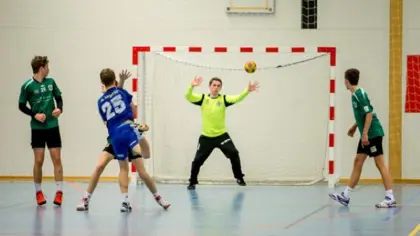 Sonesamlinger jenter og gutter født 2008