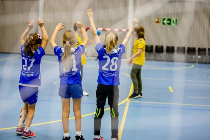 Gullmini 540x360.jpg