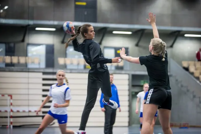 2015_storsamling_J98_Camilla_Lem